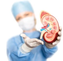 Nephrology 